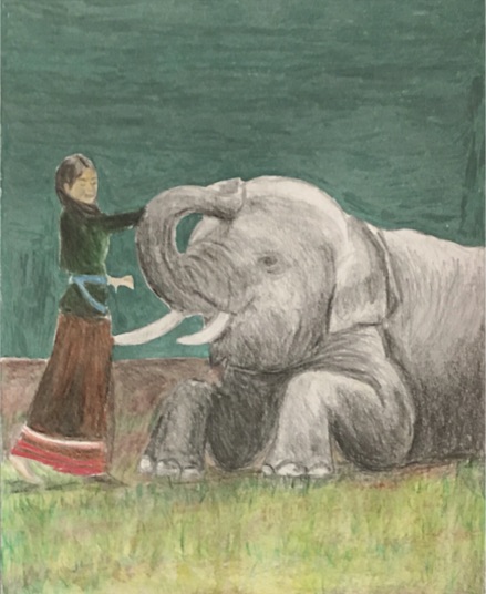 A woman touching the trunk of an elephant resting on the ground.